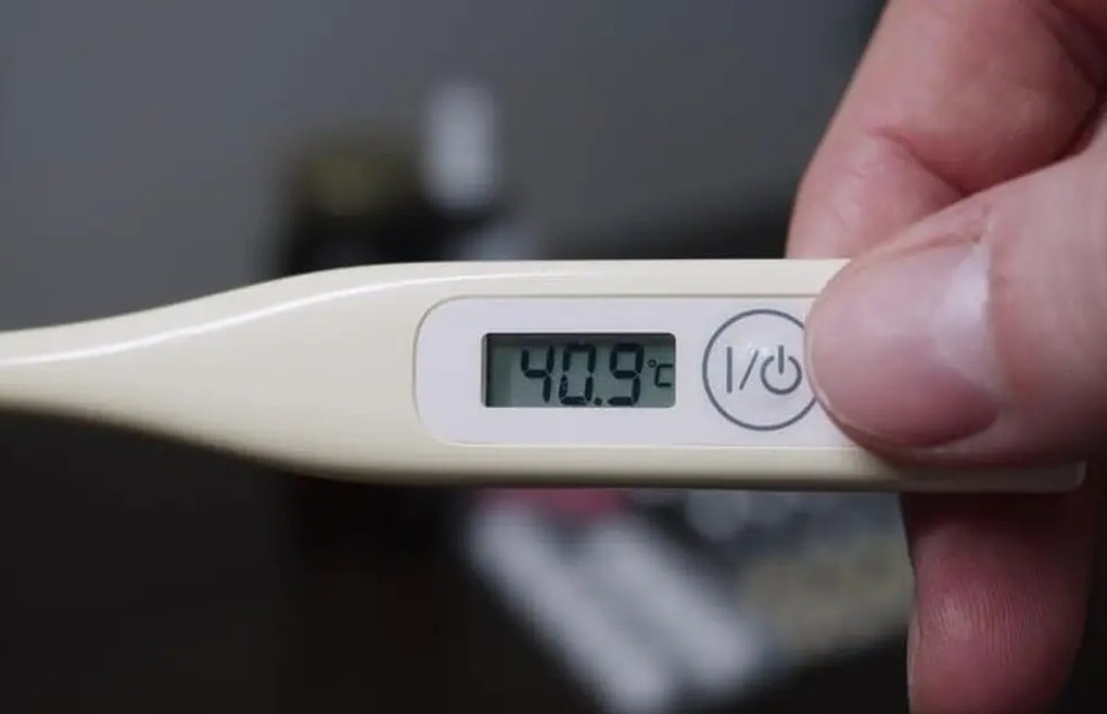 Trẻ sốt cao, khi nào cần nghĩ tới viêm não Nhật Bản? - 1