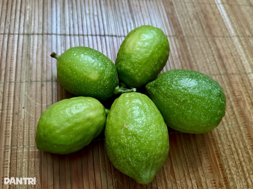 5 loại trái cây giàu vitamin C giúp hỗ trợ giảm axit uric - 1