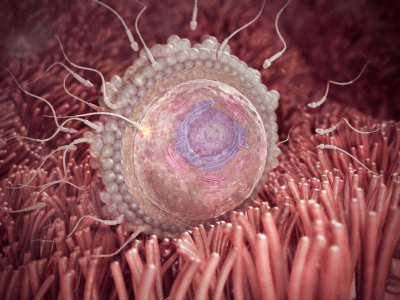 picture1-14-.png