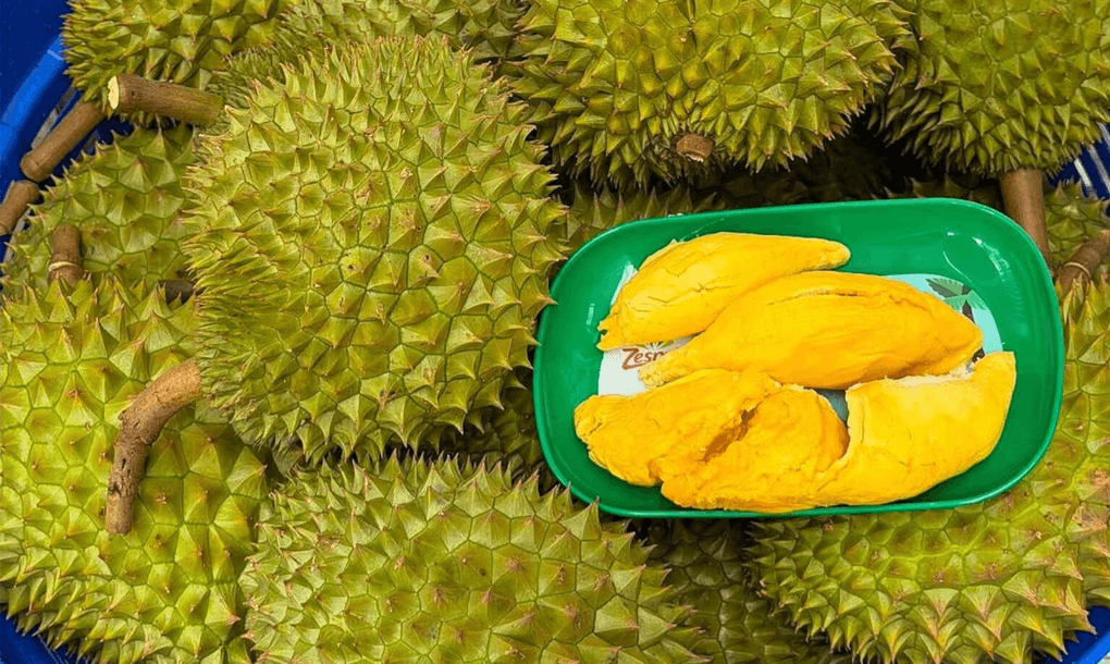 Sầu riêng tại nhà vườn ở Cần Thơ. Ảnh: Mạnh Khương