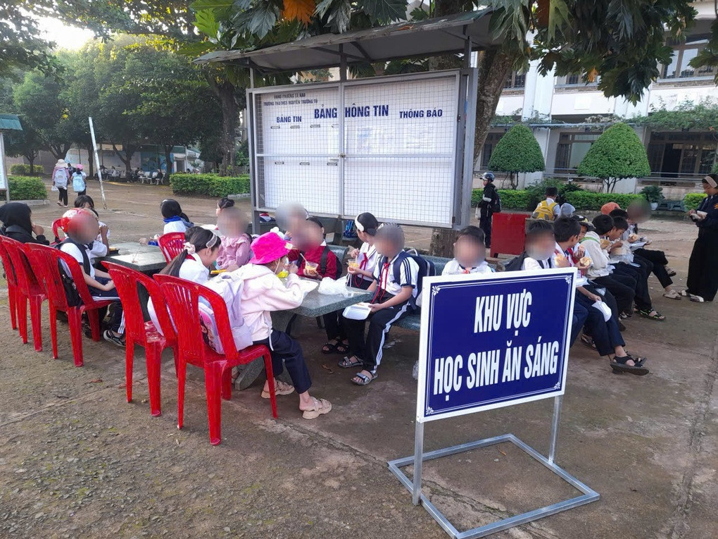 Vụ học sinh phải ăn sáng cạnh thùng rác: Chủ tịch phường yêu cầu chấn chỉnh - 1