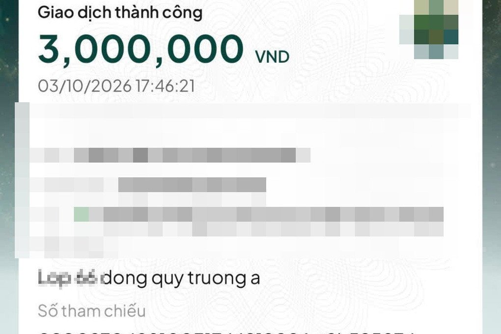 Phụ huynh băn khoăn khoản thu 3 triệu đồng/lớp đóng vào quỹ trường - 2