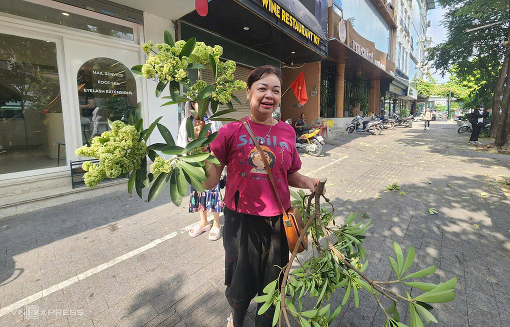 Người phụ nữ ở phố Đào Tấn, phường Giảng Võ, nhặt cành hoa mang về nhà. Ảnh: Võ Hải