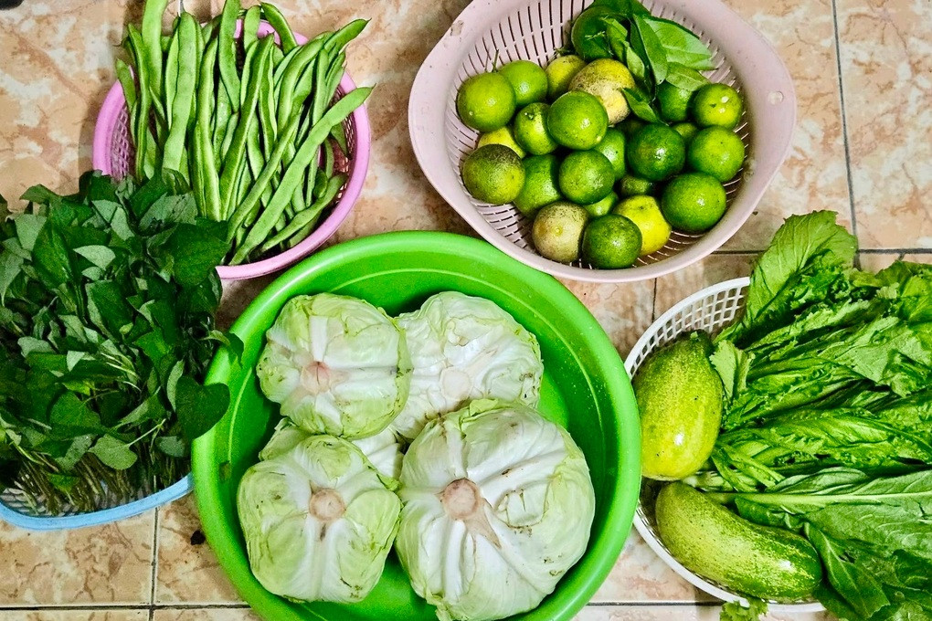Bác sĩ chỉ cách chọn thực phẩm an toàn, phòng ngừa ngộ độc - 1
