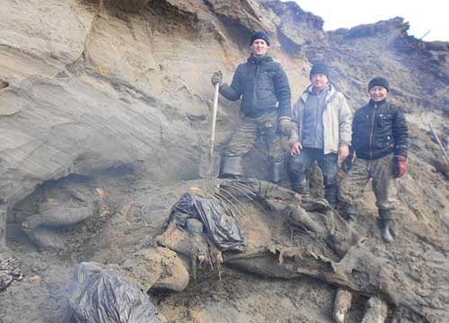 Cậu bé 11 tuổi phát hiện voi ma mút