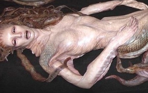 Sự thật bất ngờ về “xác nàng tiên cá” trên bãi biển