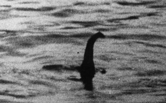 7 ảnh năm 2016 chứng minh quái vật hồ Loch Ness có thật