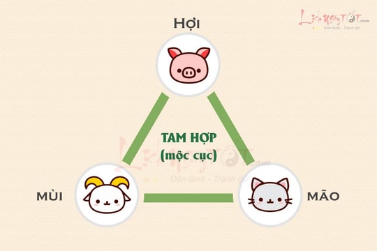 Tam hợp Hợi Mão Mùi - Bộ ba lịch thiệp và ngoại giao tốt, có nhiều cơ hội thành công