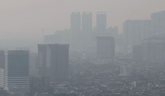Ảnh hưởng của tình trạng ô nhiễm không khí tới sức khoẻ.