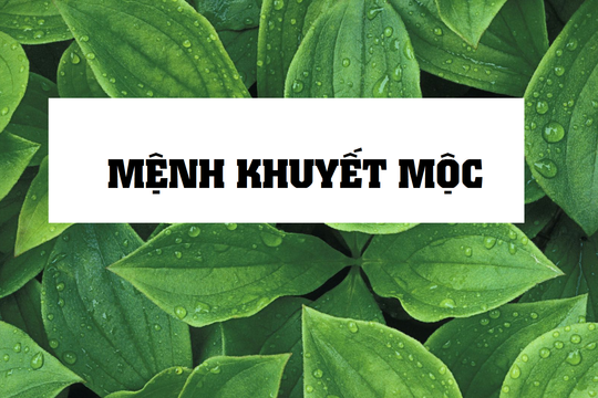 Mệnh khuyết Mộc là gì? Cách cải vận cho người mệnh khuyết Mộc theo phong thủy