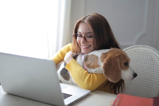 Những con giáp cần theo đuổi lối sống tối giản để hạnh phúc nhiều hơn