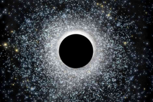 Các lỗ đen có tự quay như các sao và hành tinh?