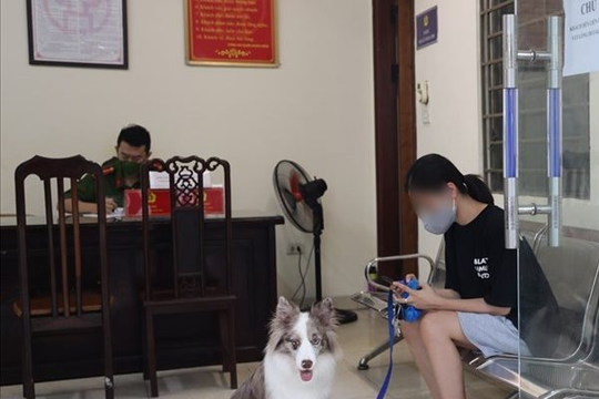 Hà Nội: Cô gái bị phạt 2 triệu đồng vì dắt chó đi dạo