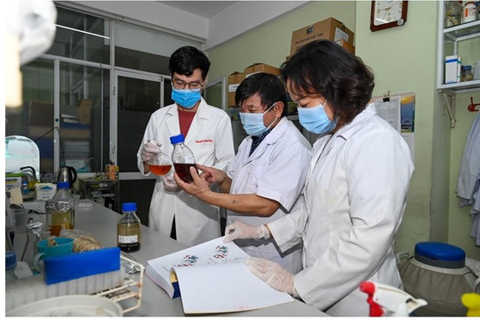 Sắp có thuốc điều trị Covid-19 từ thảo dược của Việt Nam