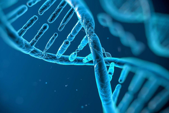 Gen – bộ gen, DNA và nhiễm sắc thể?