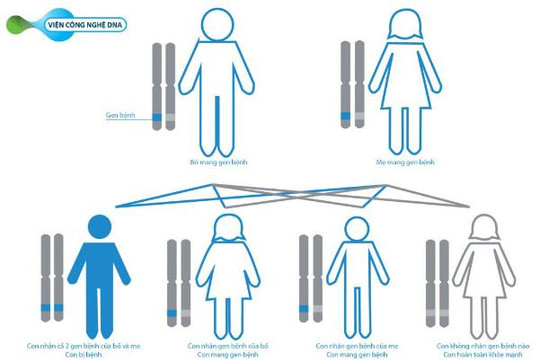 Giải mã nguyên nhân bố mẹ khỏe mạnh sinh con mắc bệnh di truyền