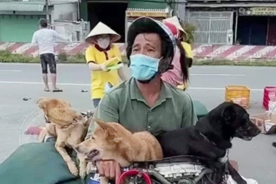 Tổ chức Động vật Châu Á lên tiếng về vụ tiêu hủy đàn chó