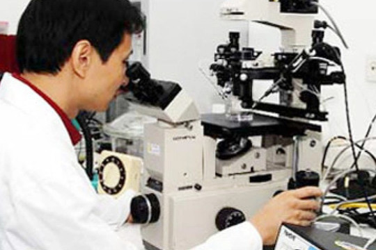 5 nhà khoa học Việt Nam vào top 10.000 nhà khoa học hàng đầu thế giới