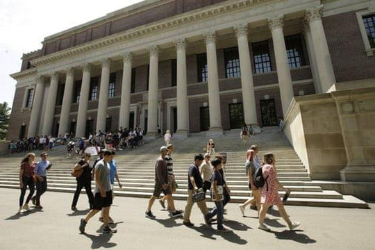 Chỉ 57% sinh viên đỗ Harvard bằng... trí tuệ (*)