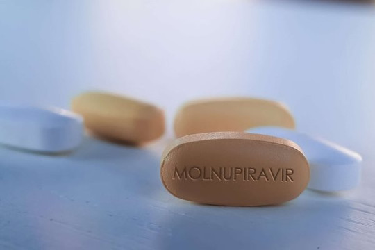 Bộ Y tế yêu cầu Hà Nội làm rõ việc bán Molnupiravir tại các nhà thuốc