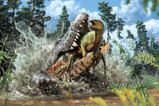 Bằng chứng cho thấy cá sấu ăn thịt khủng long