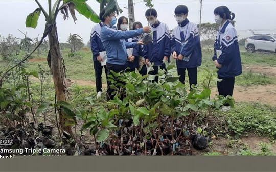 Dạy học tại thực địa: Thực tiễn và giải pháp