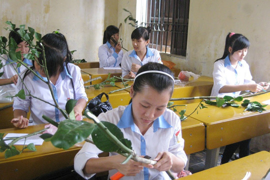 Điện Biên: Hơn 6.500 học sinh đăng ký thi nghề phổ thông