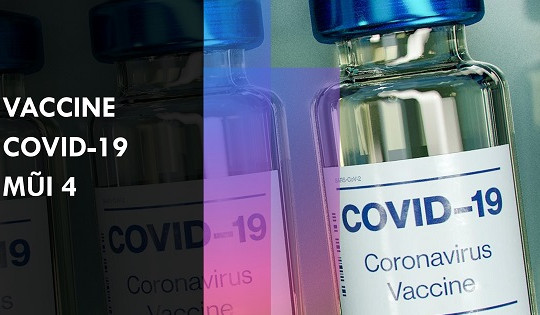 Những bằng chứng khoa học về tiêm mũi thứ 4 vaccine COVID-19