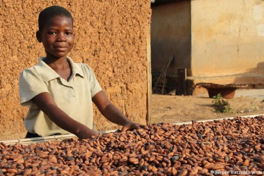 Châu Phi: Lao động trẻ em tăng trở lại sau 2 năm dịch
