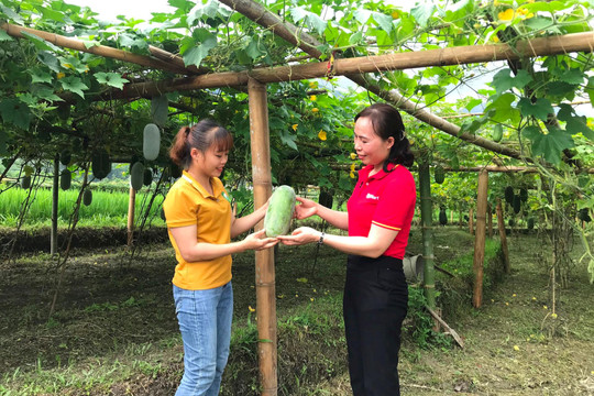 WinCommerce thúc đẩy tiêu thụ nông sản Bắc Giang, Bắc Kạn