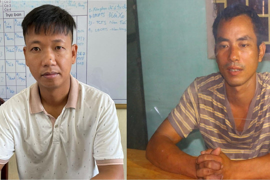 Lái xe tải về Nam Định trộm cây, hai đạo chích bị bắt