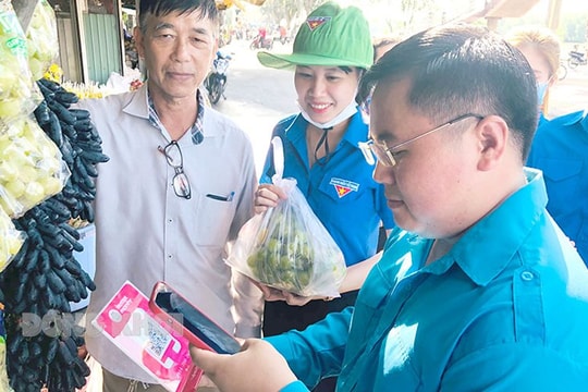 Bến Tre thúc đẩy phát triển chuyển đổi số toàn diện, hiệu quả