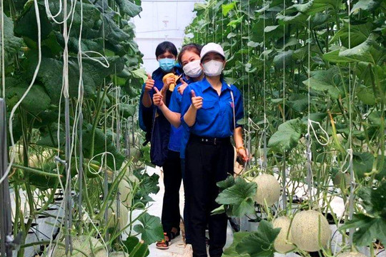 Trường THPT Vinh Lộc định hướng nghề từ thực tế địa phương