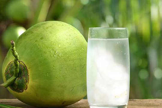Bị sốt xuất huyết có nên uống nước dừa?