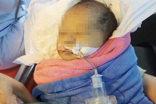 Bé gái sơ sinh bị bỏ rơi giữa rừng ở Quảng Nam tử vong