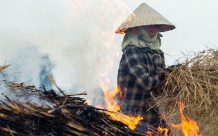 Nông dân ngoại thành Hà Nội đốt rơm rạ, khói mù mịt "bủa vây" người đi đường