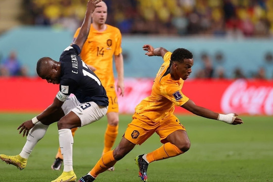 Hà Lan 1-0 Ecuador: Bàn thắng bị từ chối