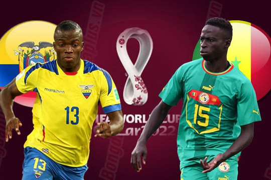 Dự đoán tỷ số Ecuador vs Senegal 22h ngày 29/11