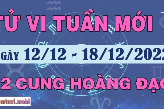 Tử vi tuần mới 12 cung hoàng đạo 12/12 - 18/12/2022: Bọ Cạp lý trí, Ma Kết rắc rối