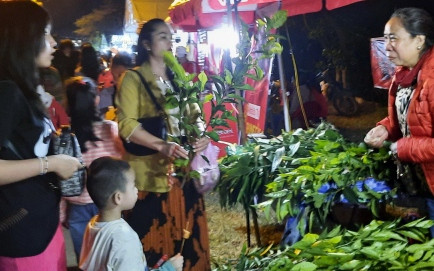 Nhiều du khách tham gia Lễ hội Chợ đình Bích La Quảng Trị
