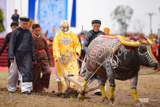 'Vua' cày ruộng trong Lễ hội Tịch điền ở Hà Nam