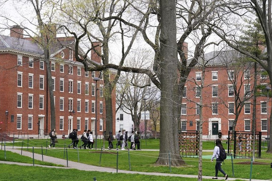 Sinh viên Harvard phản đối người quấy rối tình dục dạy học