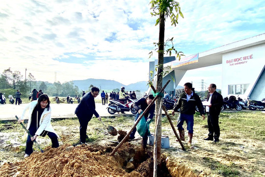 Đại học Huế phát động 'Tết trồng cây đời đời nhớ ơn Bác Hồ'