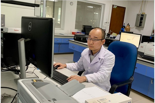 Nhà khoa học Việt nghiên cứu trị bệnh gout từ cây dược liệu