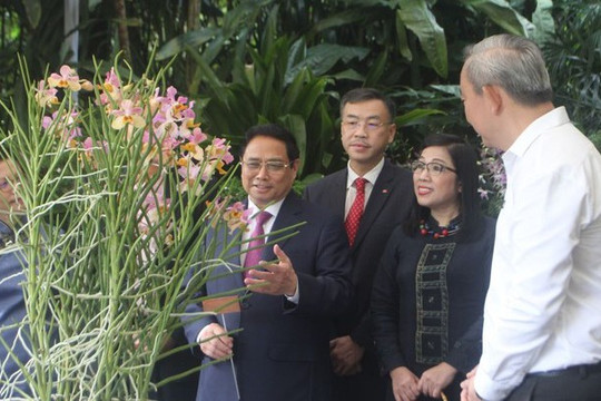 Lễ định danh hoa lan theo tên Thủ tướng Phạm Minh Chính và Phu nhân ở Singapore