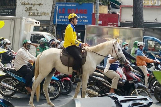 Xử phạt người đàn ông cưỡi ngựa khắp trung tâm TPHCM