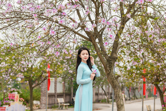 Nữ sinh Đại học Văn hóa Hà Nội thướt tha áo dài với hoa ban tím