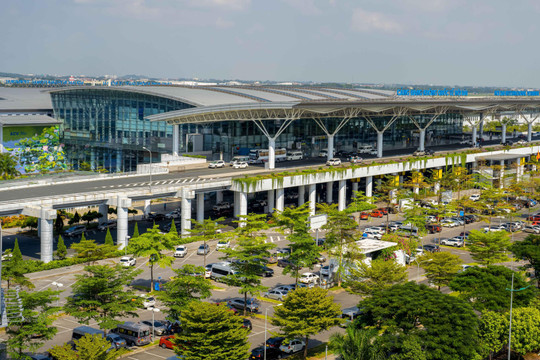 Cục Hàng không ngăn khỉ xâm nhập sân bay Nội Bài