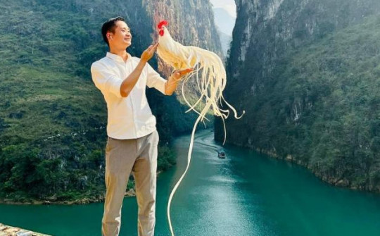 Chú gà đẹp độc lạ bên sông Nho Quế gây sốt mạng xã hội