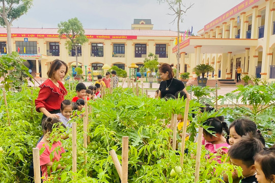 Bắc Giang khuyến khích lắp camera giám sát an toàn thực phẩm trường học